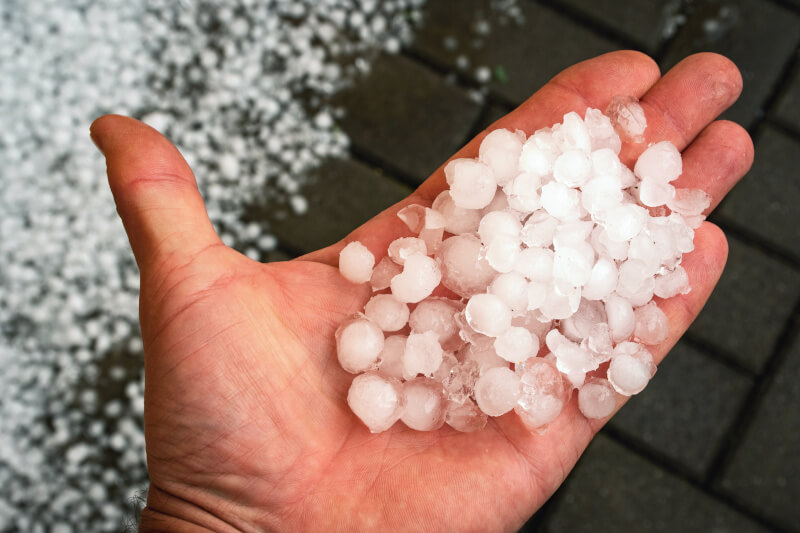 Hail Damage